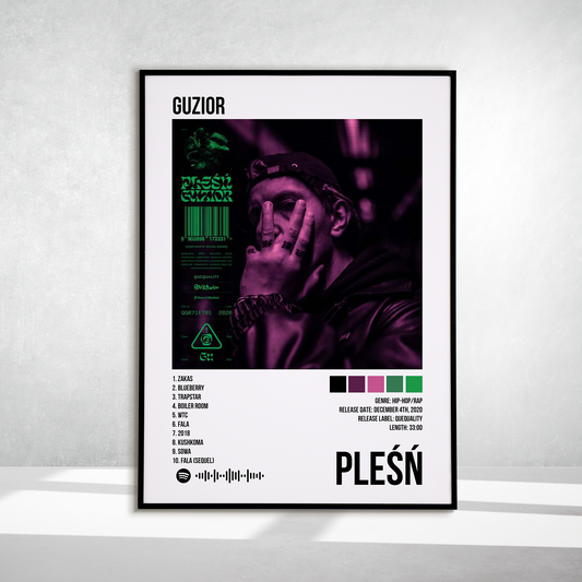 PLEŚŃ